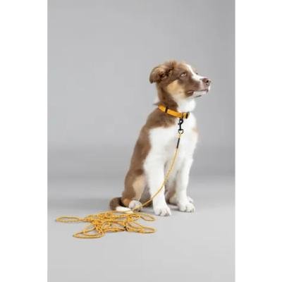 Поводок нейлон. PUPPY DOLLY OCHRE