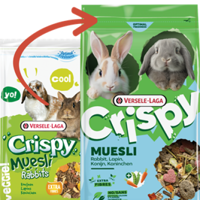 Crispy Muesli Rabbits
