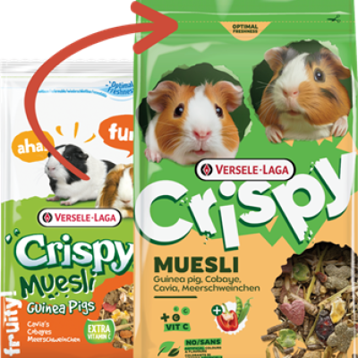 Crispy Muesli Guinea Pigs