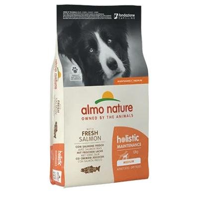 ALMO NATURE Dry Dog Holistic M-L Salmon