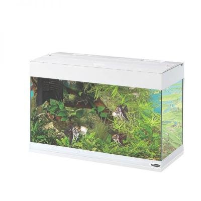 Acvariu DUBAI 80 LED