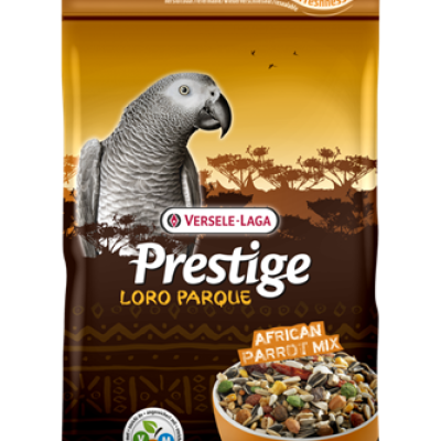 African Parrot Mix Loro Paraque
