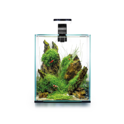 Aquael Acvariu SHRIMP SET SMART D&N 20