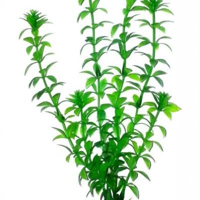 AQUAEL Пластиковое растение Plastic Plant AP-012 8″