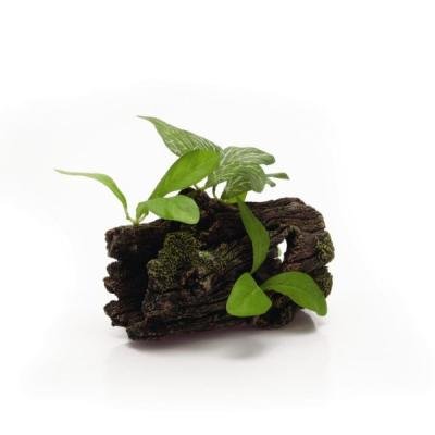 Beeztees decor butuc + plante