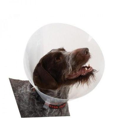 BEEZTEES Guler veterinar 30