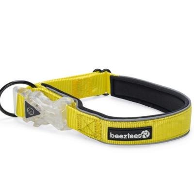 Beeztees zgardă reflectorizantă cu lumini Premium PARINCA Yellow 50×25