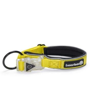 Beeztees zgardă reflectorizantă cu lumini Premium PARINCA Yellow 35×20