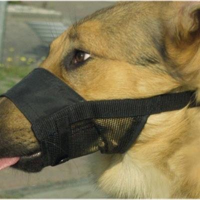 Botniță pentru câini nylon
