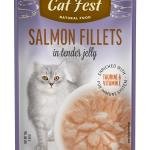 Cat Fest Pouch Salmon Fillets