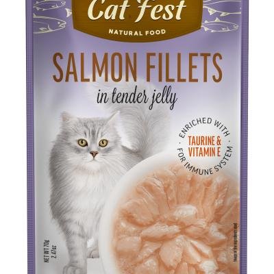 Cat Fest Pouch Salmon Fillets