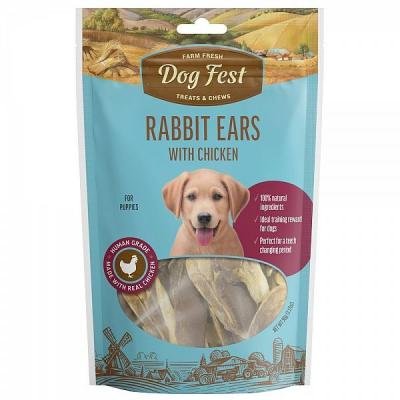 Dog Fest Rabbit Ears with Chicken