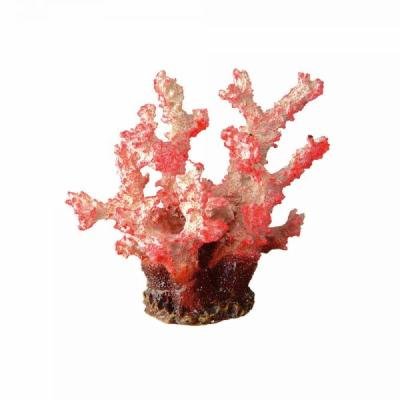 Ferplast coral