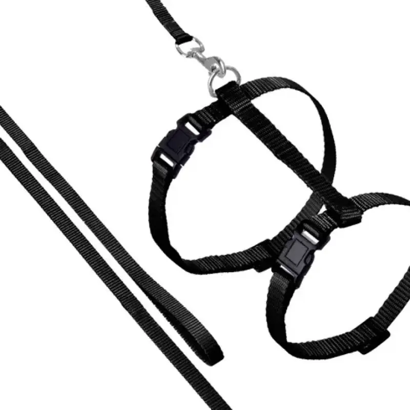 Flamingo Шлейка с поводком ZIGGI 20-35cm