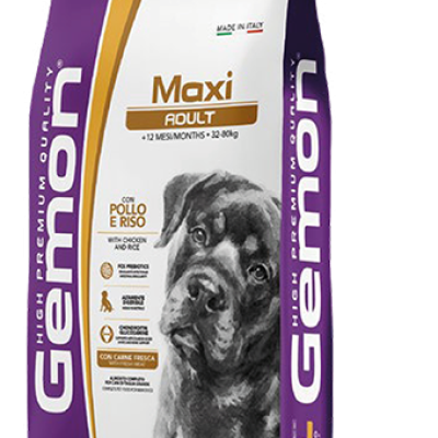 GEMON Dry Maxi Adult with Chicken and Rice