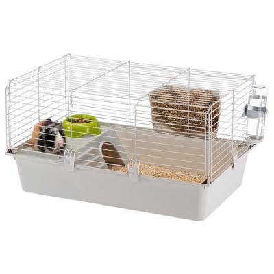 Клетка GUINEA 80