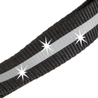 Lesă CLUB REFLEX G15/120