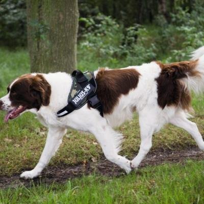 BEEZTEES Ham K9 IDC Powerharness Size 1 CAMO 63-8