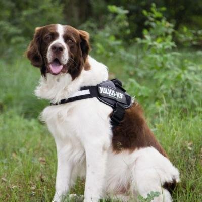 BEEZTEES Ham K9 IDC Powerharness Size 2 ANT 71-96