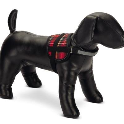 BEEZTEES Шлейка-мини SCOTCH Red 15×36-46cm
