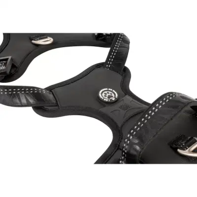 MAX & MOLLY Шлейка Sport Harness – Matrix 2.0