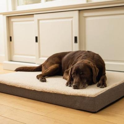 BEEZTEES culcuș ortopedic Memoryfoam ZIRA Beige 120x80x10cm