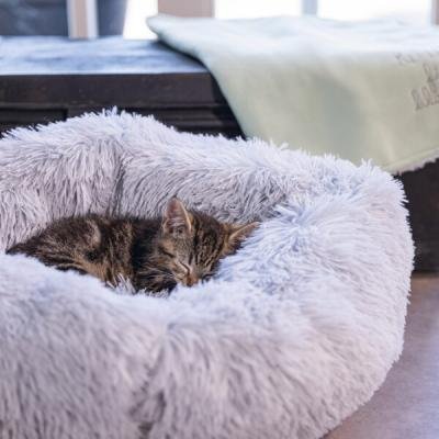 Beeztees culcuș de pluș CAT BED VAKO