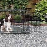 BEEZTEES Клетка для собак DOG BENCH 2-DOORS Black 89x60x66cm
