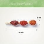 Antos Finest Poultry Brochettes