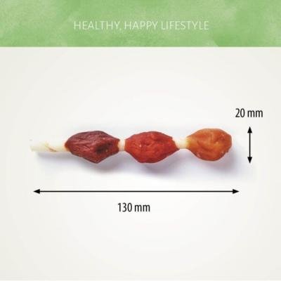Antos Finest Poultry Brochettes