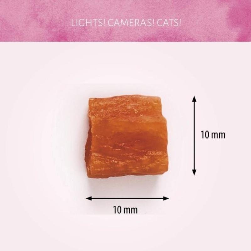Antos Cat Treats Cubed Salmon