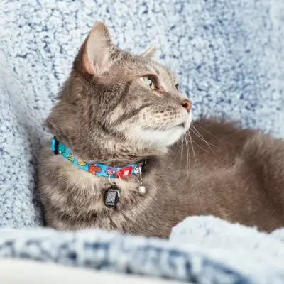 MAX & MOLLY Zgarda pentru pisici Smart ID Cat Little Monsters