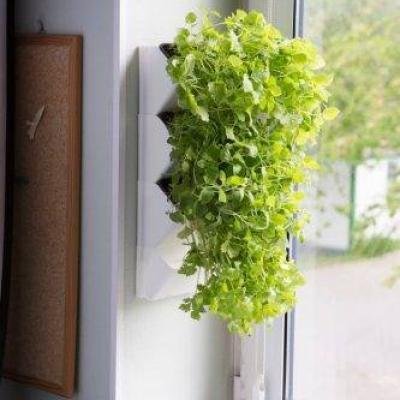 AQUAEL Modul perete VERSA GARDEN HERBS