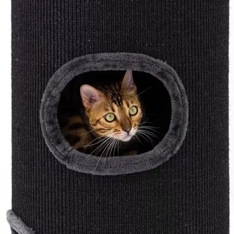 PETREBELS CHAMPIONS Only Dome 110 Pepper