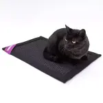 PETREBELS More Mastermat 60