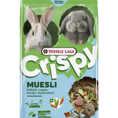Crispy Muesli Rabbits