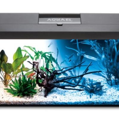 AQUAEL Aquarium set LEDDY PLUS PAP-75 D&N LED