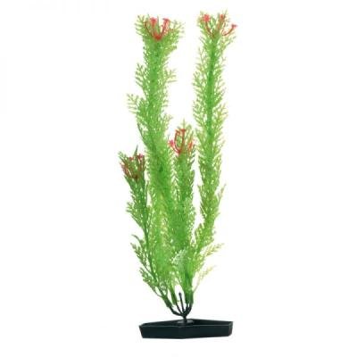 Plante din plastic Assorti 21-23-24-25cm