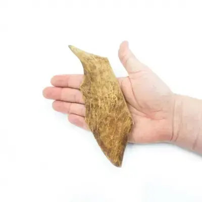 FALLOW DEER ANTLER CHEW HARD
