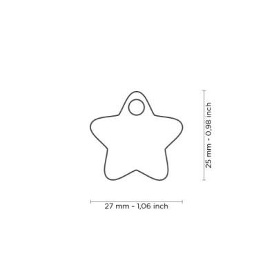 Медальон TURQUOISE SMALL STAR CHARMS
