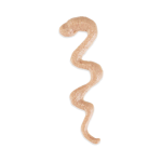 SCHESIR STIX CAT POUCH TREATS Salmon 6x15gr
