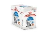 ROYAL CANIN Indoor Grave 85gX12шт