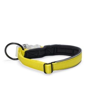 Beeztees zgardă reflectorizantă cu lumini Premium PARINCA Yellow 50×25