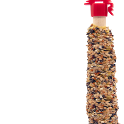 STICKS SMALL Parrot Eggs&Thyme 60gr