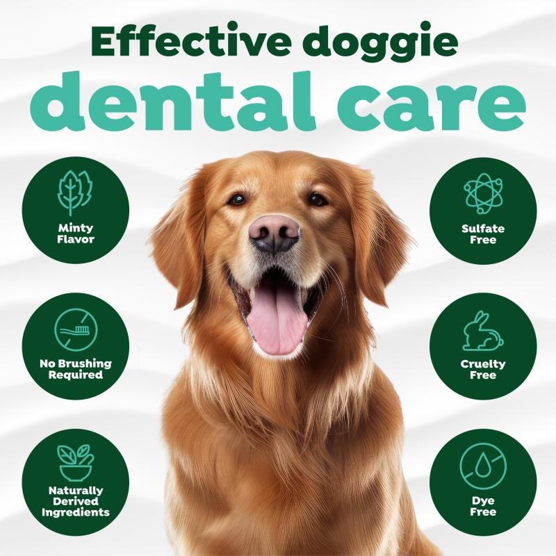 Fresh Breath Clean Teeth Oral Care Gel