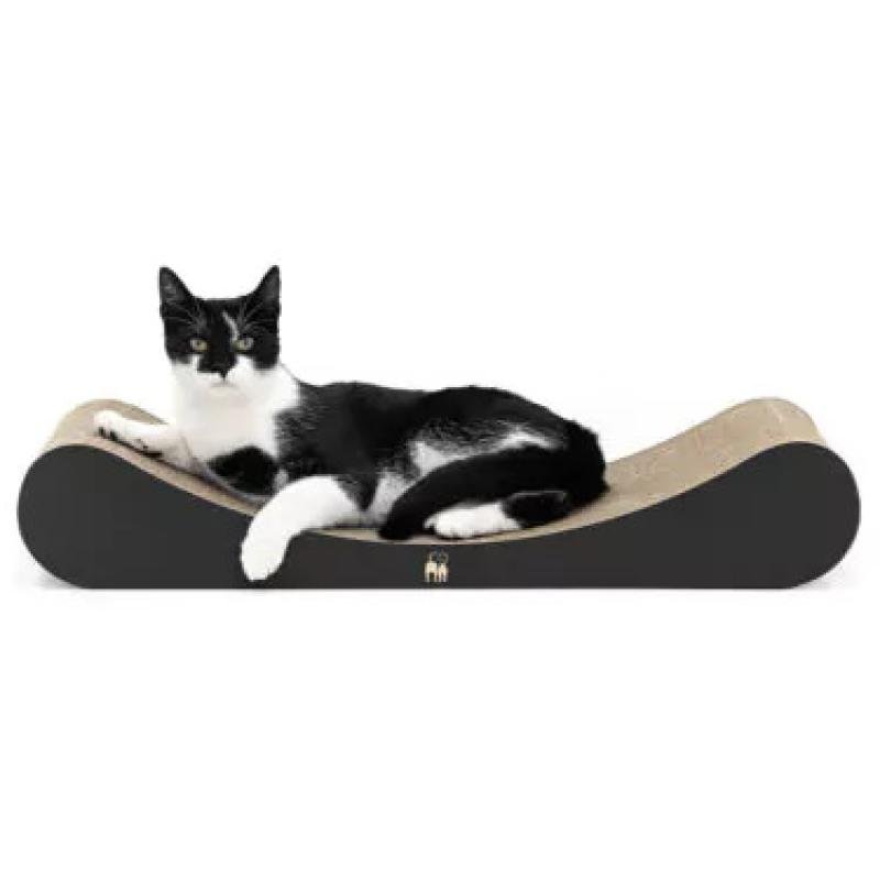 PR Scratch'n Rebels Lily 75