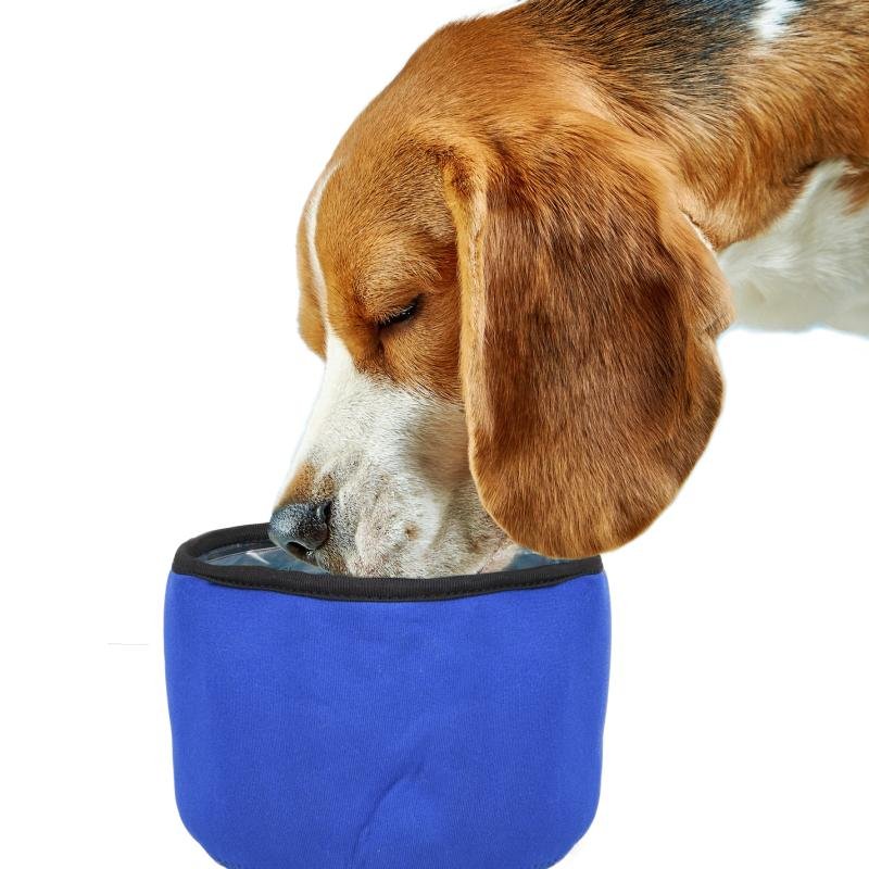 Охлаждающая дорожная миска для воды Cooling Bowl Fresk Nord