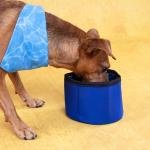 Охлаждающая дорожная миска для воды Cooling Bowl Fresk Nord