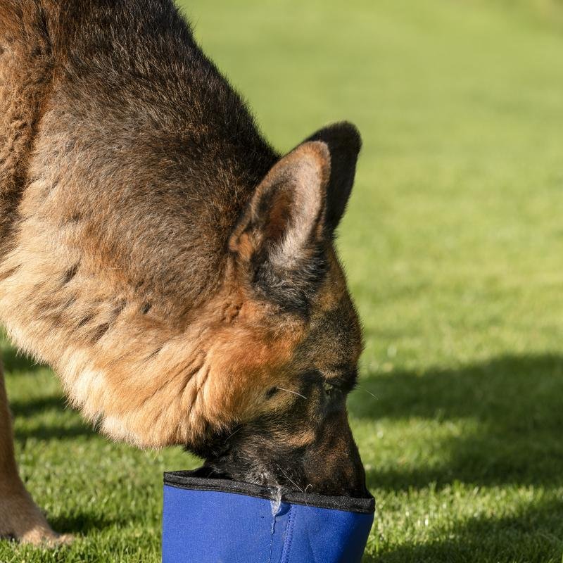 Охлаждающая дорожная миска для воды Cooling Bowl Fresk Nord