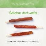 Antos Duck D'light Lollies